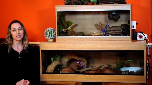 Ball Python Vivarium Setup #1. Type, size and lighting смотреть онлайн