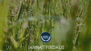 🔊Красивое чтение Корана сура "Ас-Саджда" Абдурахман Масад