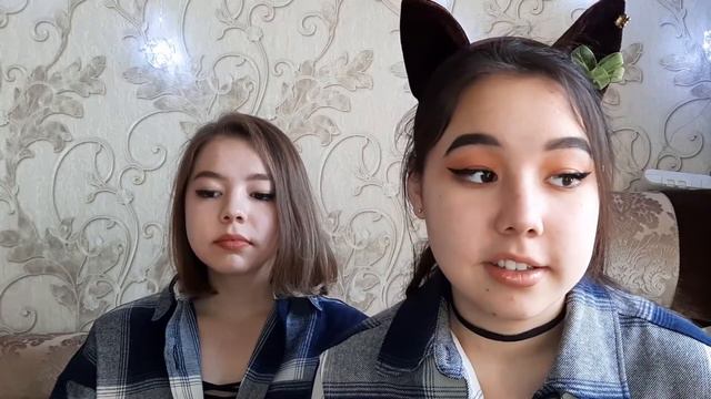 ВСЯКИЙ БРЕД О ДВОЙНЯШКАХ... смотреть онлайн