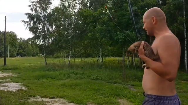 Пользуемся дарами леса.Жарим лисички в сметане.Заготавливаем бесплатный корм на зиму для коз и овец смотреть онлайн