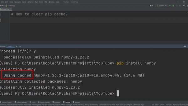 How to Clear pip Cache Correctly in Python