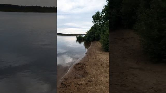 Сестрорецкий разлив, пляж, июль 2020 смотреть онлайн