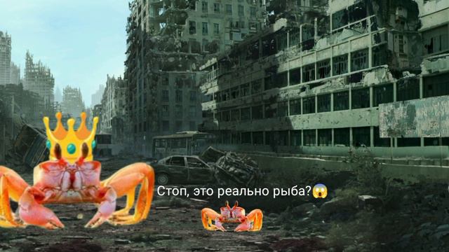 Когда ешь крабовые палочки, а у тебя есть питомец - краб... Часть: 4 смотреть онлайн