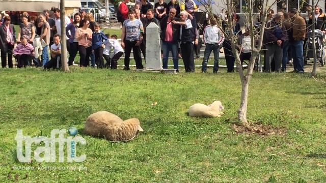 Малки и големи се млатиха в Смилец смотреть онлайн