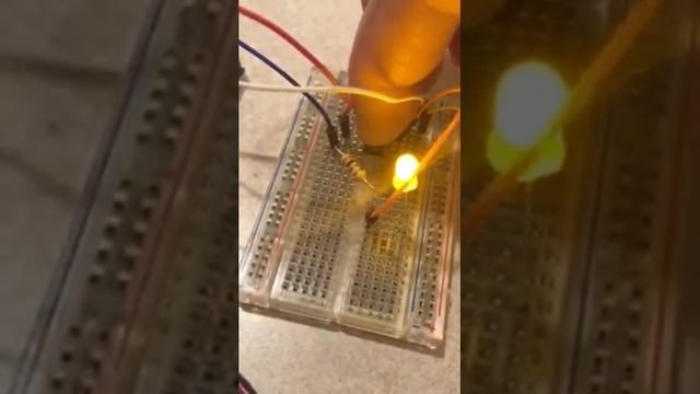 Circuit demo week 1 смотреть онлайн