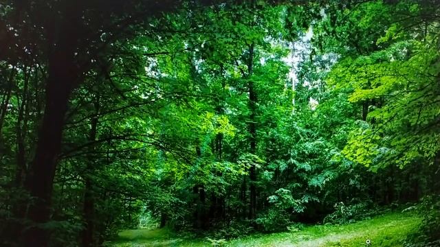 Аффирмации 25 кадр под классическую музыку. Результат с первых сеансов. смотреть онлайн