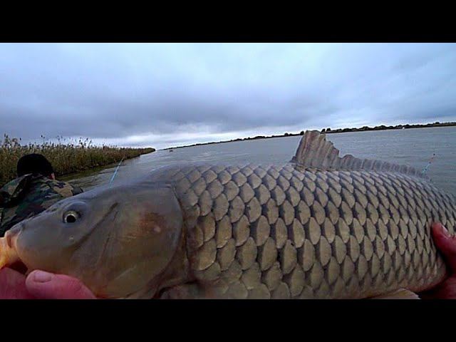 НЕ УСПЕВАЕМ ТЯГАТЬ ЭТИХ КАБАНОВ! КРУГОМ ВСË ДИКОЕ. САЗАНЫ! СОМЫ! ЭТО АСТРАХАНЬ! смотреть онлайн