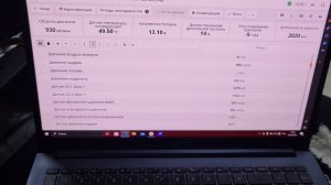 Рено Дастер - трясет после запуска.