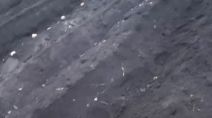 посадка картофеля под мотоблок советы СТАРОГО пахаря