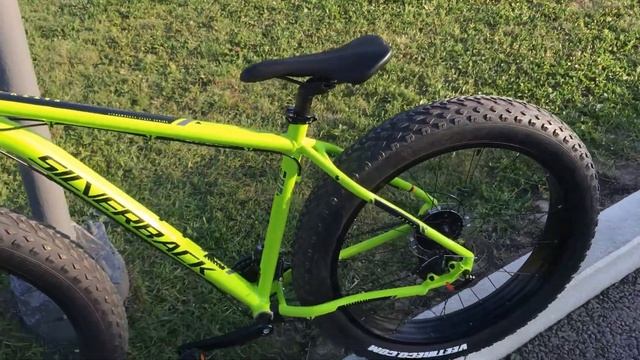 SILVERBACK STRIDE FATTY[QUICK REVIEW] смотреть онлайн