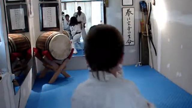 Traditional Japanese Martial Arts Morales Dojo