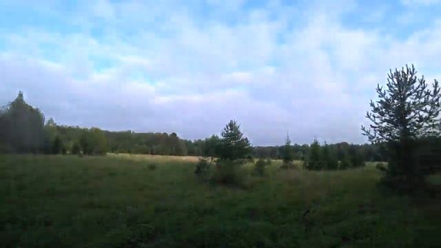 За грибами после работы. Пермь. Тихая охота. 15 августа 2019. смотреть онлайн