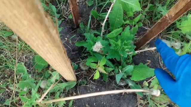 Стройка Стиля