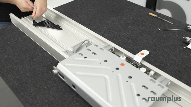 Навесные двери Flua Coplanar от raumplus смотреть онлайн