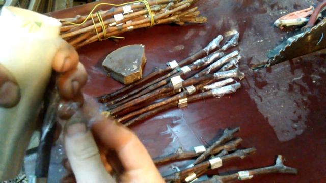 Воск или вакуумная плёнка... смотреть онлайн