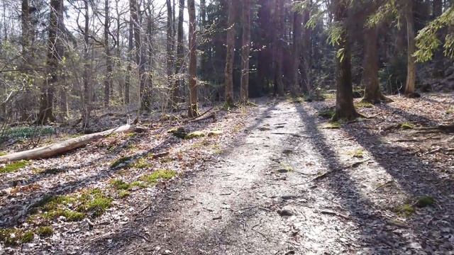 Why do FANG companies use Java and not C#? смотреть онлайн