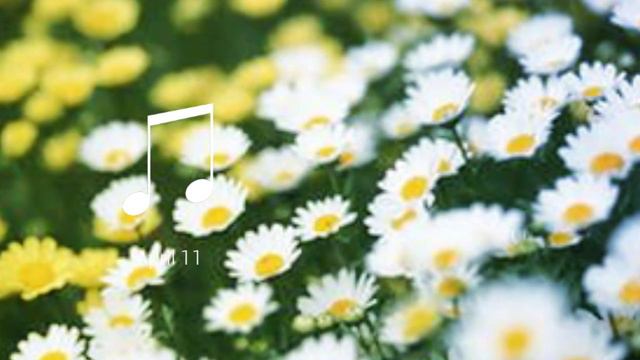 Скоро лето-relax смотреть онлайн