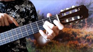 Дельфин - Серебро на Гитаре + РАЗБОР