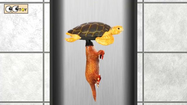 [EN] Sea animals under the wash basin! sea animal names for children, collecta figuresㅣCoCosToy смотреть онлайн