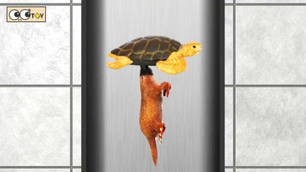 [EN] Sea animals under the wash basin! sea animal names for children, collecta figuresㅣCoCosToy