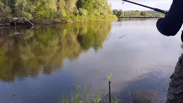 Ловлю подуста на фидер. Рыбалка на Хопре смотреть онлайн