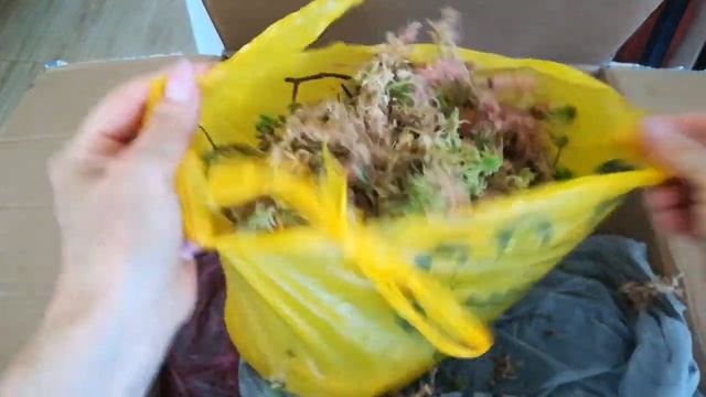 ПОСЫЛКА- ПОДАРОК ИЗ ПЕРМСКОГО КРАЯ! ?❣️❤️?? смотреть онлайн