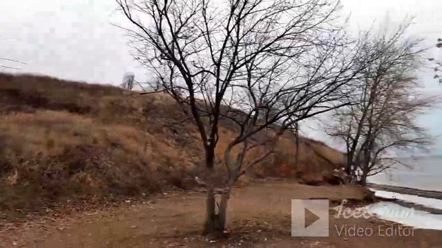 Берег Волги в начале декабря .Природа на Волге/Nature on the Volga in early December смотреть онлайн