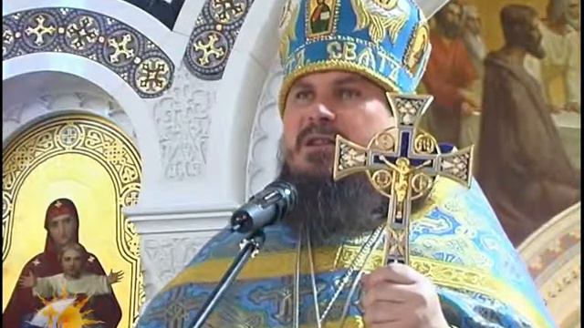 панихида по митрополиту Владимиру смотреть онлайн