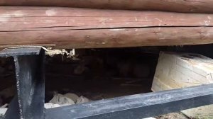 Заменить фундамент на винтовые сваи качественно под ключ