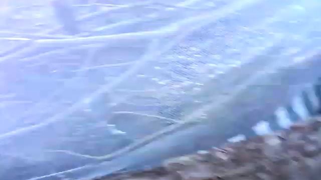 Влог На даче (семечки,палатка,ящерка)!!! смотреть онлайн