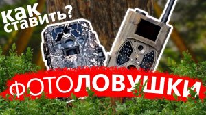 Фотоловушка. Как ставить фотоловушки охотнику и любителю природы?