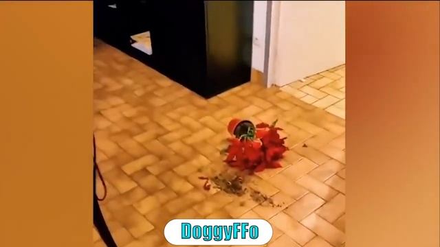 Топ 5 лучших Русских имён!