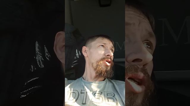 Идём по расписанию или спасение утопающих дело рук самих утопающих смотреть онлайн