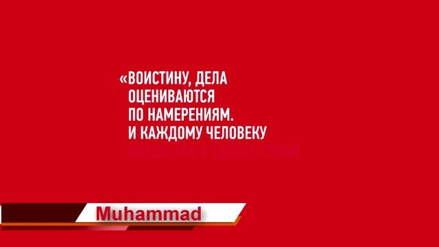 100K Muhammad смотреть онлайн