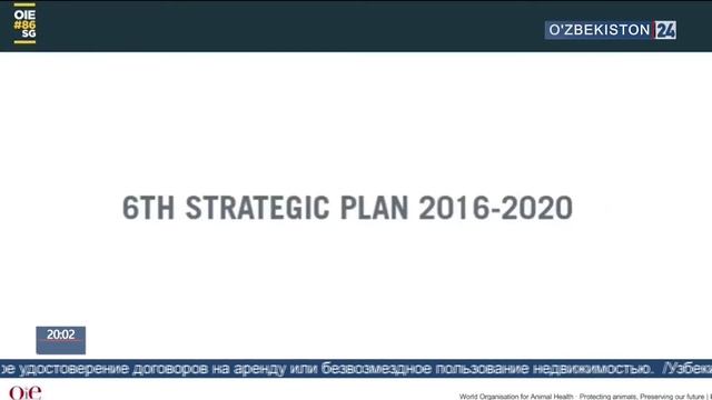 Конференция всемирной организации защиты животных во Франции смотреть онлайн