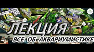 Основы и правила аквариумистики. Все о содержании аквариума.