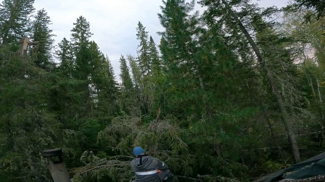 Нападение на избу / Таёжный быт / тайга / изба