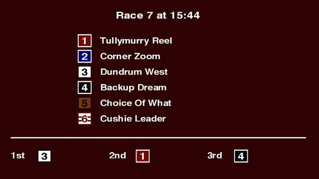 Kinsley Greyhound Races on 3rd October 2021 смотреть онлайн