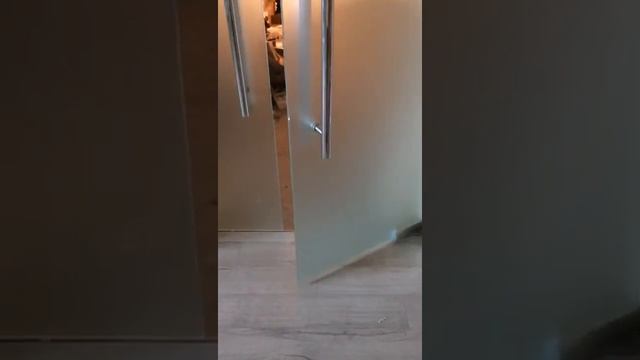 Маятниковые двери с доводчиком Bohle смотреть онлайн