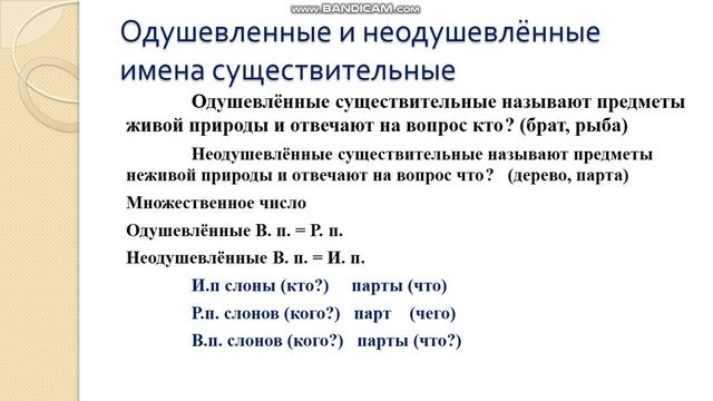 Имя существительное смотреть онлайн