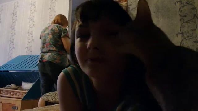 Ласка абиссинской кошки смотреть онлайн