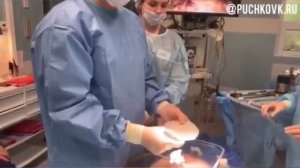 Вентральная грыжа  Лапароскопическая коррекция сетчатым имплантом