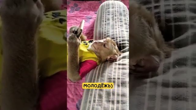 МОЛОДЁЖЬ!) #милота #позитив смотреть онлайн