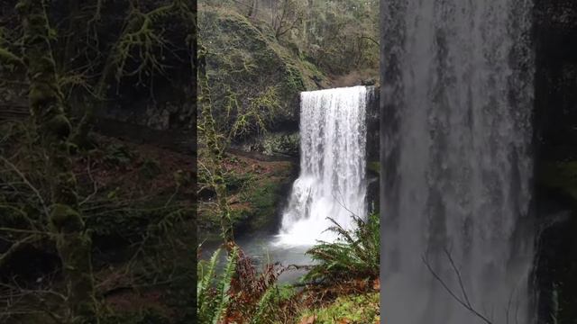 Nature waterfalls sounds| How to Relaxing music Relaxation Film Amazon Forgest @relaxation Film смотреть онлайн