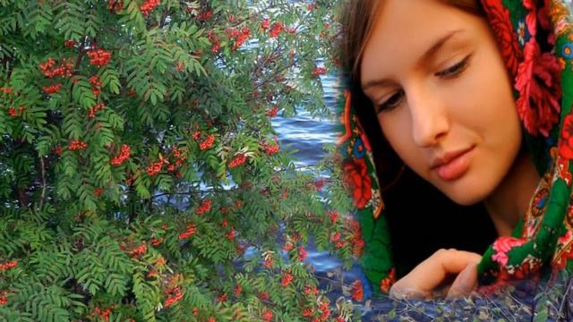 Тонкая рябина - Хор русской народной песни смотреть онлайн