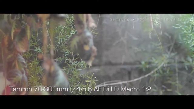 Samsung NX1000 video Test with Samsung,Canon,Tamron,Samyang lenses смотреть онлайн