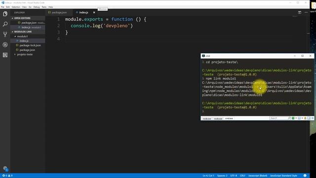 Como testar módulos sem publicar no NPM? Usando o NPM Link смотреть онлайн