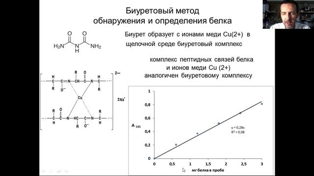 Количественное определение лизоцима в растворе. Определение общего белка в препарате. смотреть онлайн