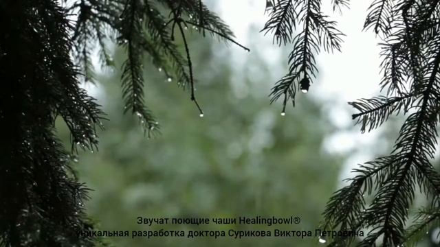 Поющие чаши Healingbowl во время дождя, медитация 20 минут