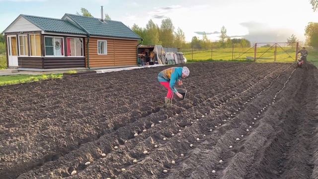 Сажаем картофель в Рязанской губернии. Чернозём. Мотоблок Завода Салют. Картофель из питомника смотреть онлайн